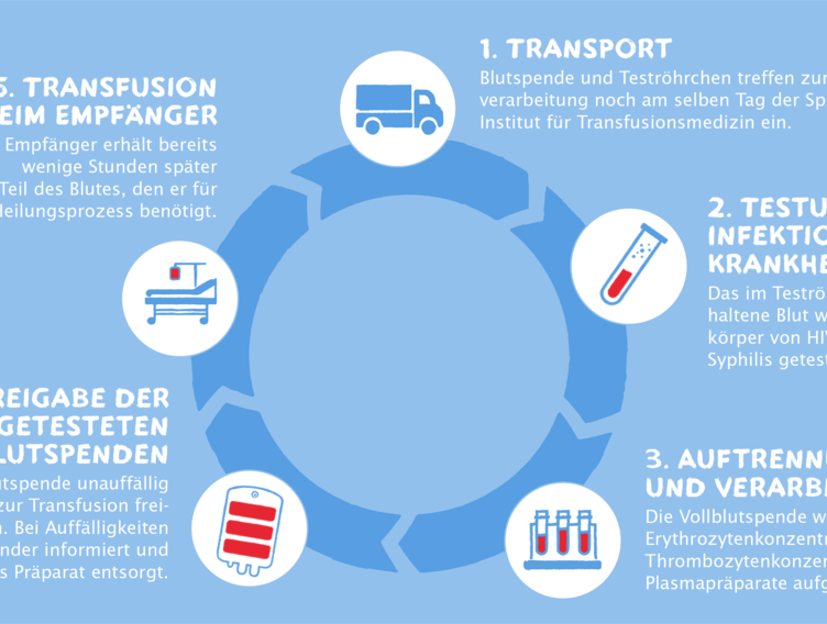 Welche Logistik steckt hinter einer Blutspende?