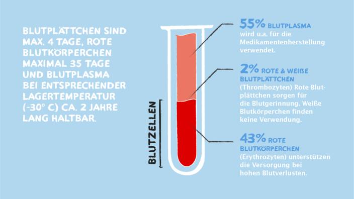 Grafik von Reagenzglas mit Blutzellen