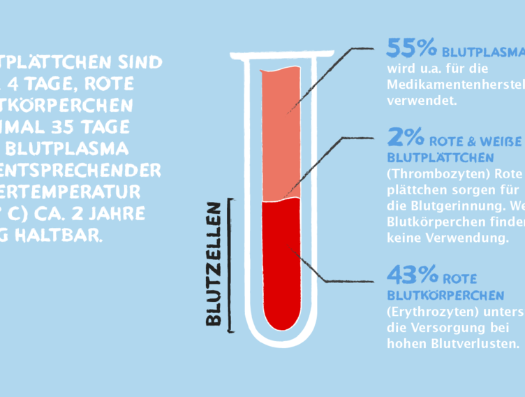 Wie wird eine Vollblutspende aufgeteilt?