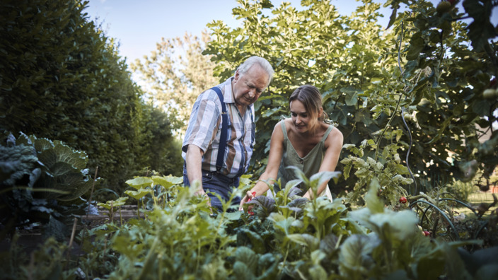 Ein älterer Mann und eine junge Frau bei der Gartenarbeit