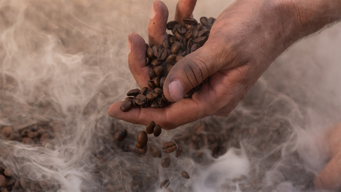 Eine Hand nimmt Kaffeebohnen auswährend der Röstung heraus.