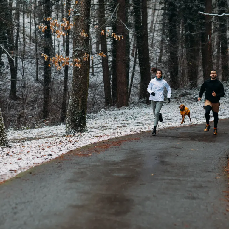 Zwei Personen und Hund joggen im Winter durch den Wald.