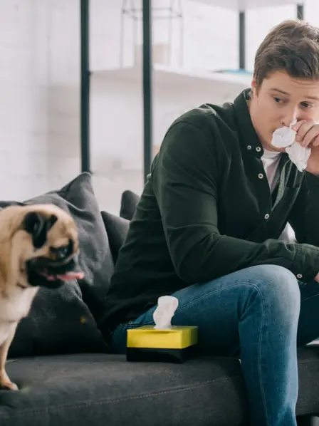 Mann sitzt mit Taschentuch neben Hund auf dem Sofa