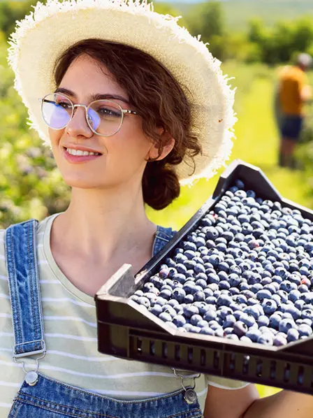 junge Frau steht mit einer Kiste Blaubeeren in einem Feld