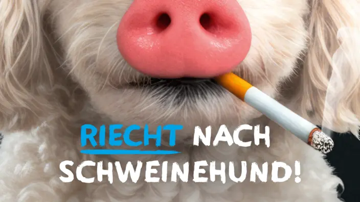 Schweinehund mit Zigarette im Maul