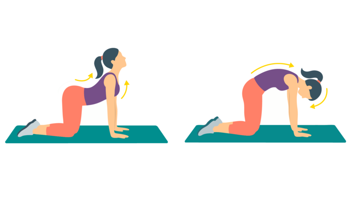 Illustration einer Frau, die die Katze-Kuh-Übung ausführt.