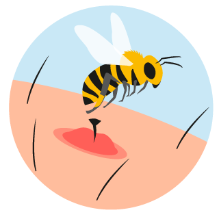 Illustration "Bienenstich"
