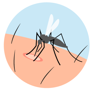 Illustration "Mückenstich"