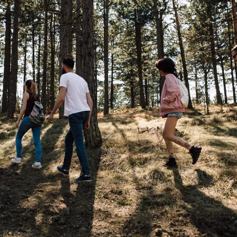 Gruppe junger Menschen, die im Wald wandern geht.
