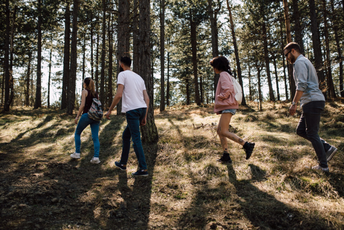 Gruppe junger Menschen, die im Wald wandern geht.
