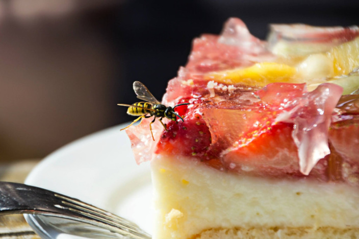 Wespe auf einem Erdbeerkuchen