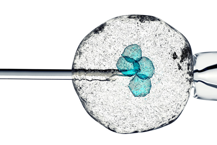 Mikroskopisches Bild einer Zelle, in die eine Pipette reingestochen wird