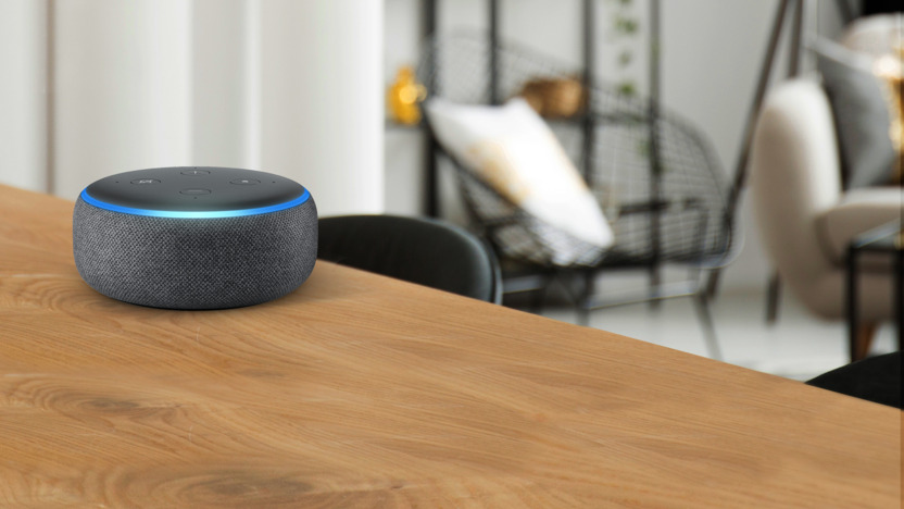 Alexa liegt auf einem Esstisch